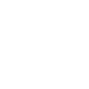 05_icn